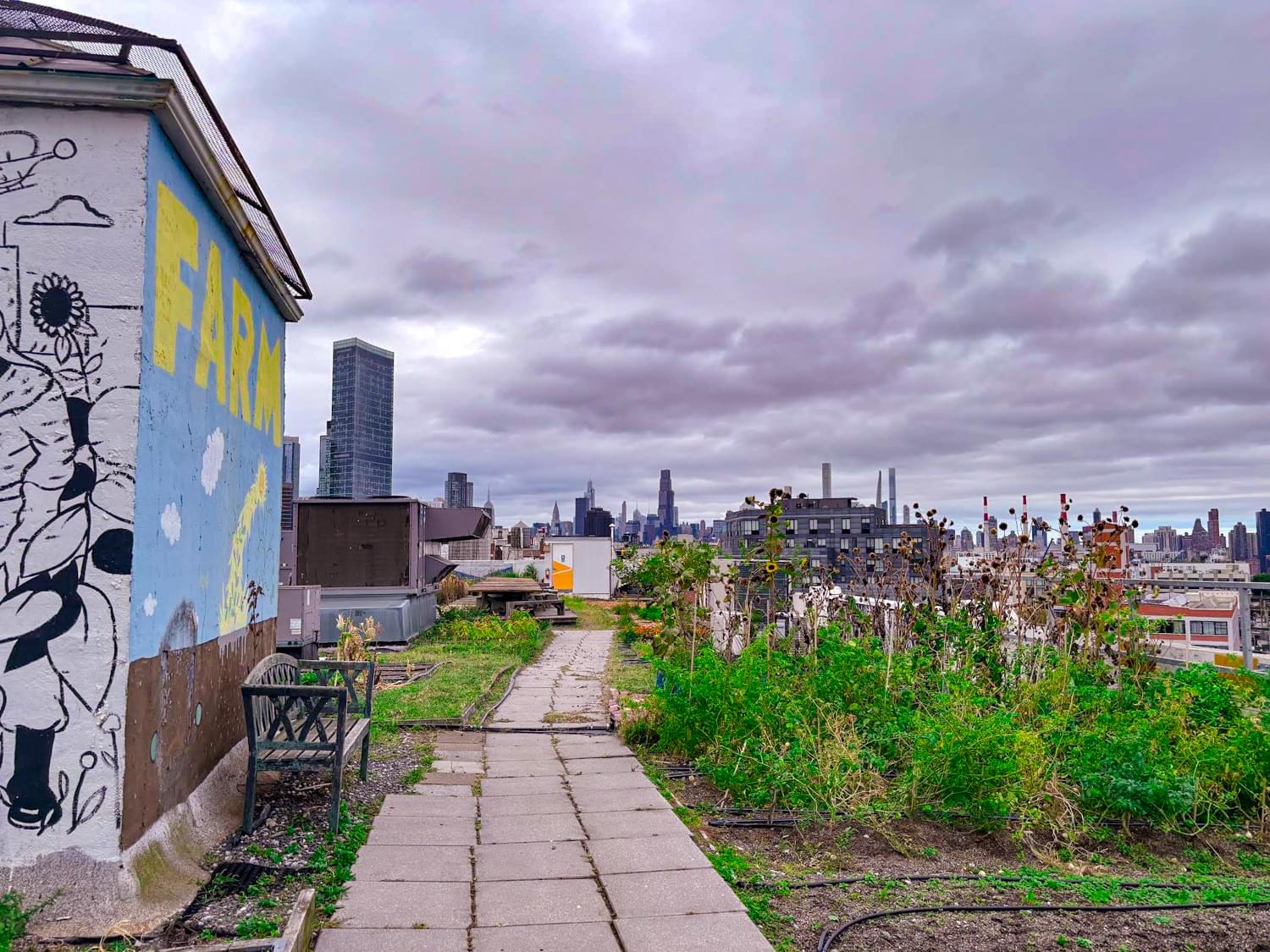 Rooftop Garden with City Views- Rooftop Garden with City Views-